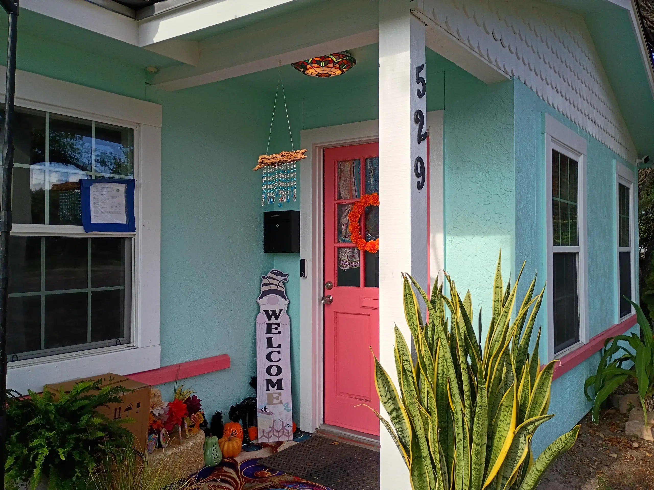 Welcoming boutique grooming environment