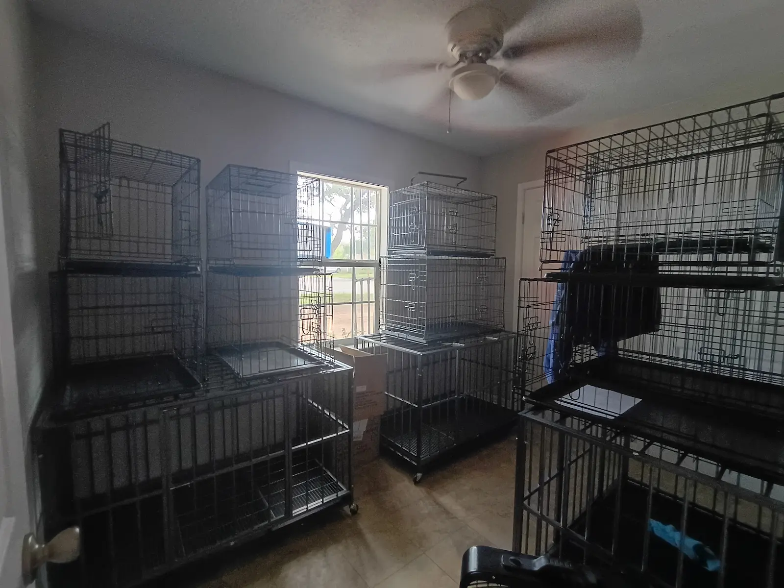 Nail & Paw Spa at Classy Clips