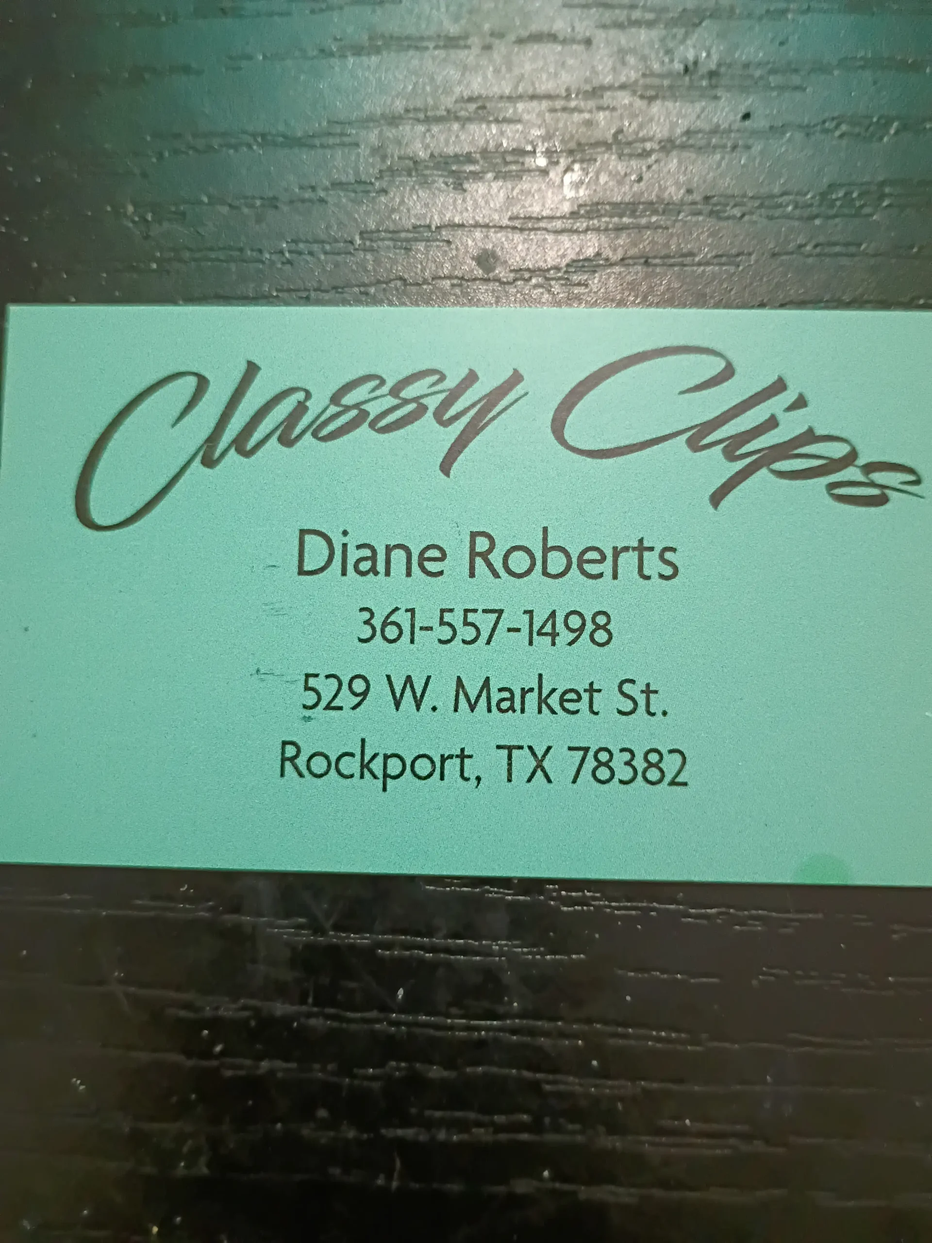 Classy Clips luxury pet salon interior atmosphere